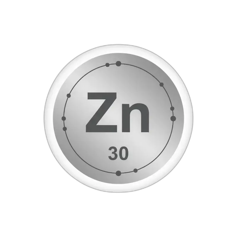 Zinco - mineral para energia e vitalidade